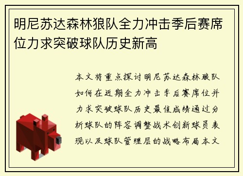 明尼苏达森林狼队全力冲击季后赛席位力求突破球队历史新高