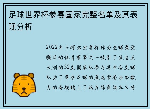 足球世界杯参赛国家完整名单及其表现分析
